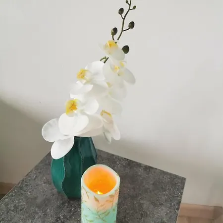 Vero *